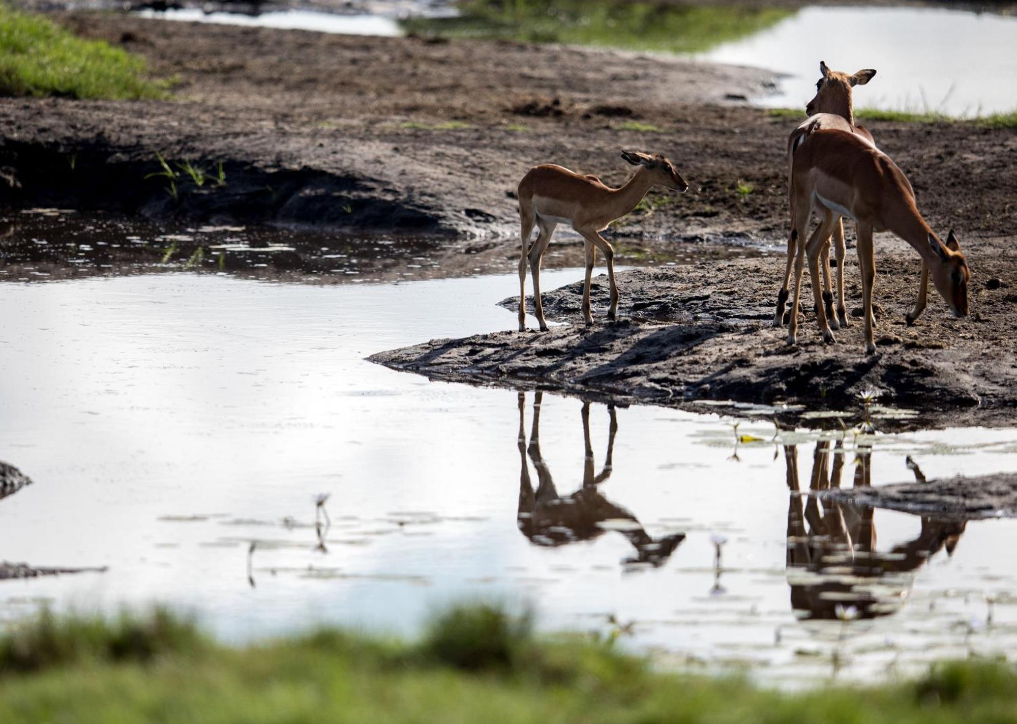 Royal Thonga Safari Lodge Sihangwane エクステリア 写真