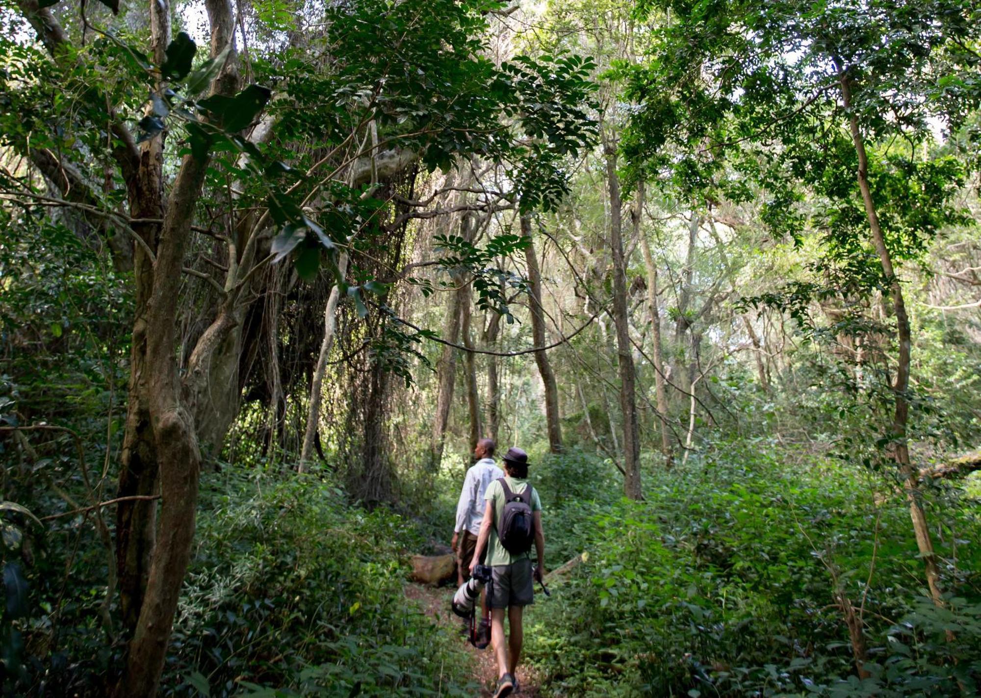Royal Thonga Safari Lodge Sihangwane エクステリア 写真