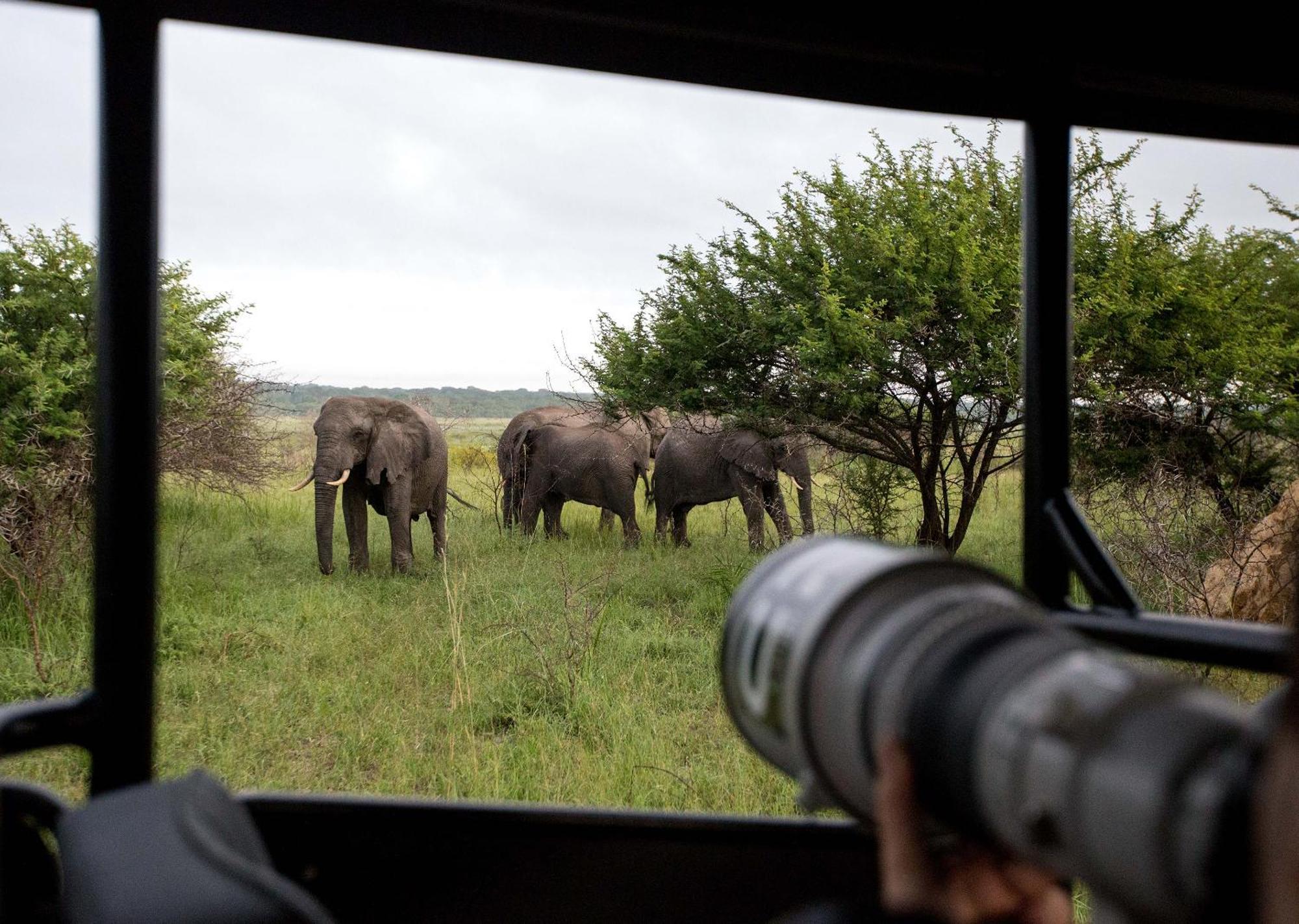 Royal Thonga Safari Lodge Sihangwane エクステリア 写真