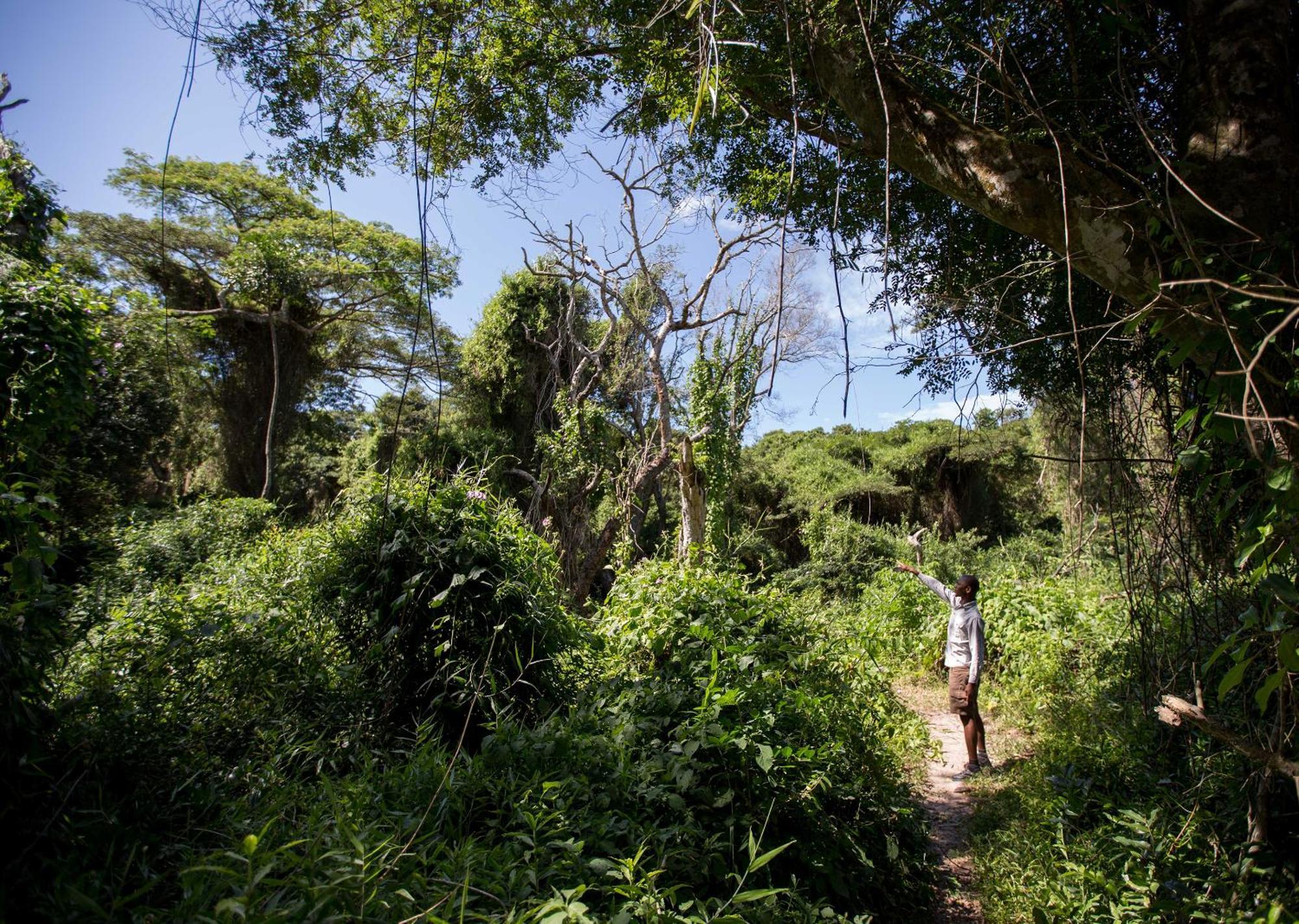 Royal Thonga Safari Lodge Sihangwane エクステリア 写真