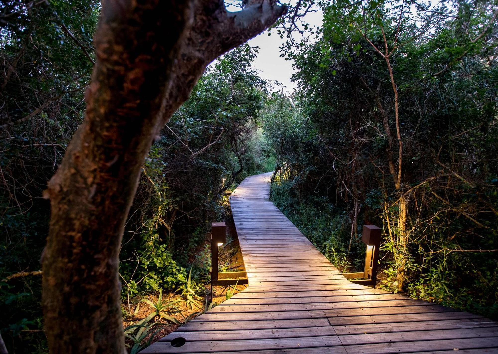 Royal Thonga Safari Lodge Sihangwane エクステリア 写真